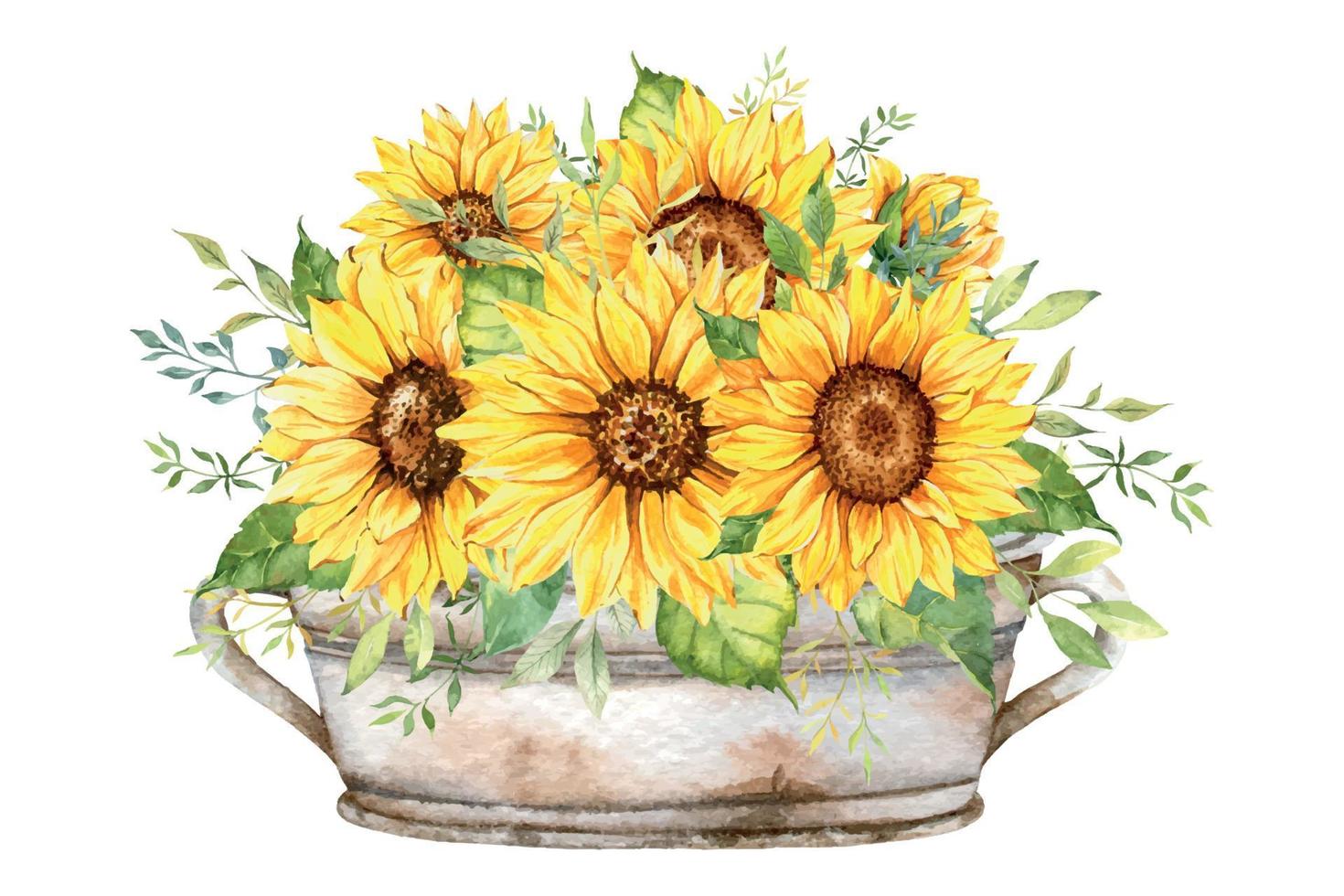 Watercolor sunflowers bouquet, hand painted sunflower bouquets with greenery, sunfower flower arrangement. Sunflower Farmhouse decor. Watercolor floral. Botanical Drawing. White background vector