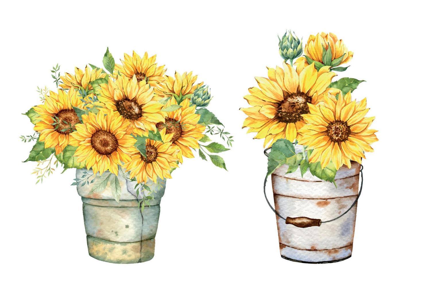 acuarela girasoles ramo, mano pintado girasol ramos de flores con verdor, girasol flor acuerdo. girasol casa de Campo decoración. acuarela floral. botánico dibujo. blanco antecedentes vector