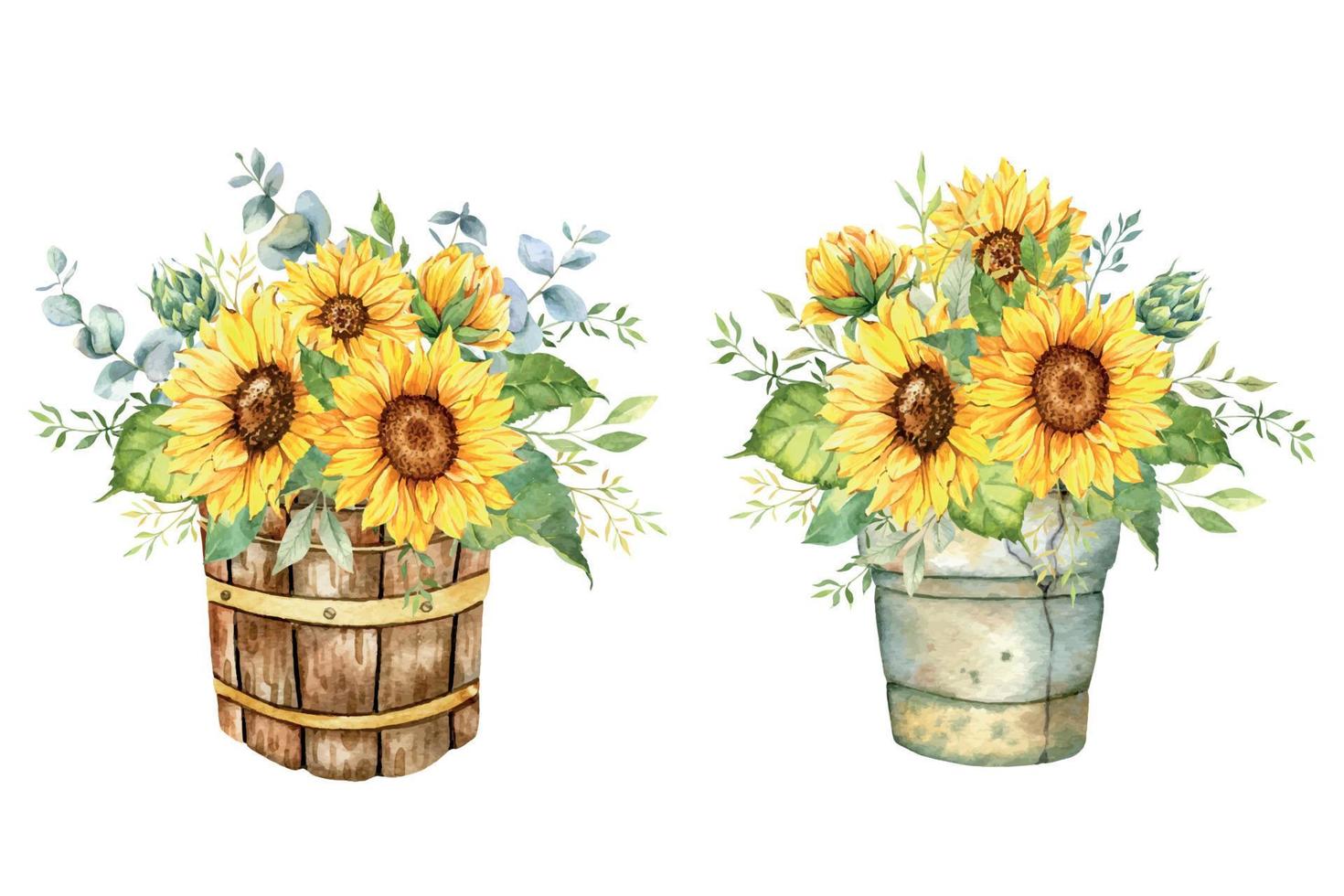 acuarela girasoles ramo, mano pintado girasol ramos de flores con verdor, girasol flor acuerdo. girasol casa de Campo decoración. acuarela floral. botánico dibujo. blanco antecedentes vector