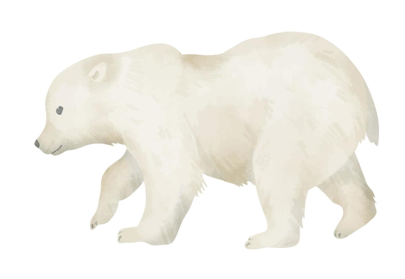 Little white Bear Cub on isolated background. Hand drawn watercolor illustration of baby animal for ecological logo or zoology drawings. Young northern mammal predator. Character in pastel colors vector