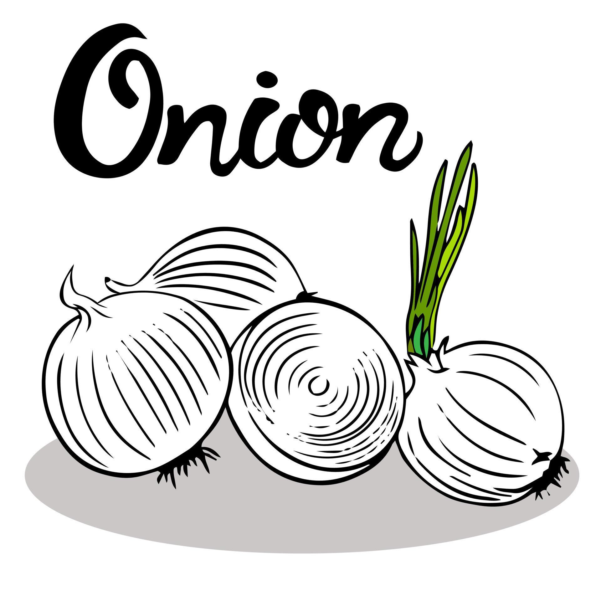 Three whole bulbs with a fresh green sprout and cut into half an onion