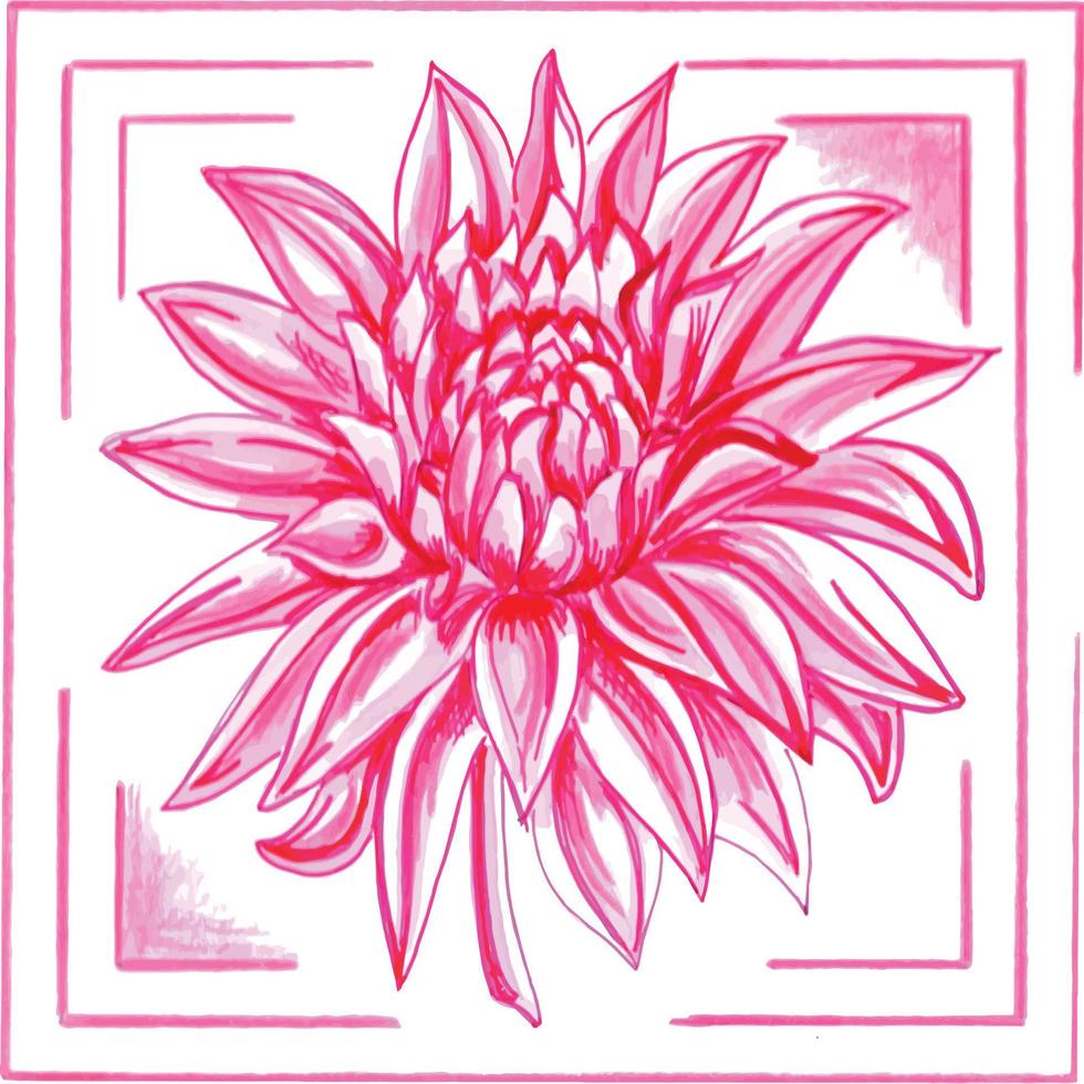 Pink dahlia in a frame. Floral botanical vector EPS illustration on a white background.