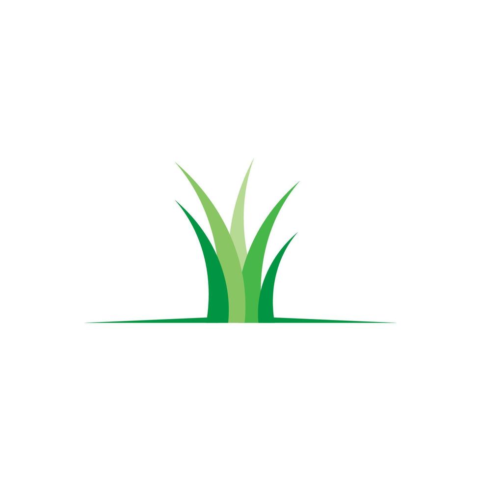 Vector green grass illustration