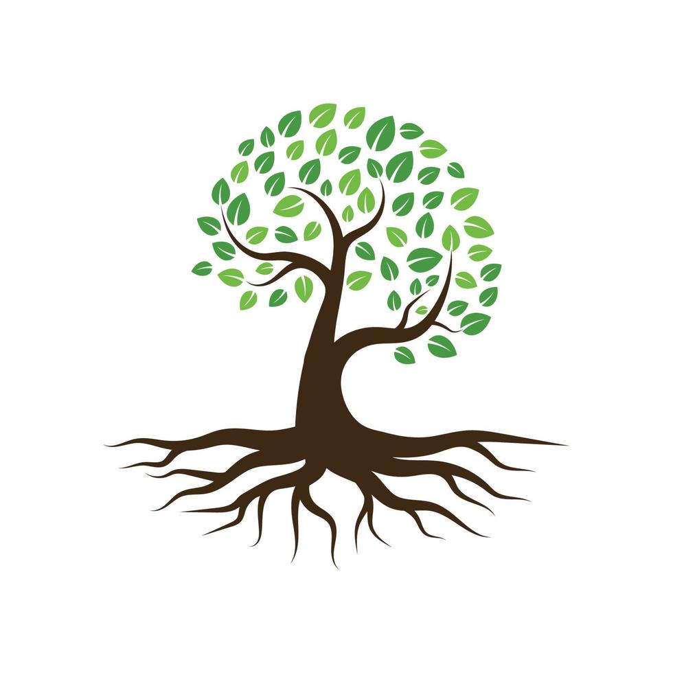 Logos of green Tree leaf ecology vector