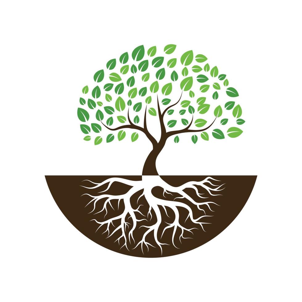 logotipos de la ecología de la hoja del árbol verde vector