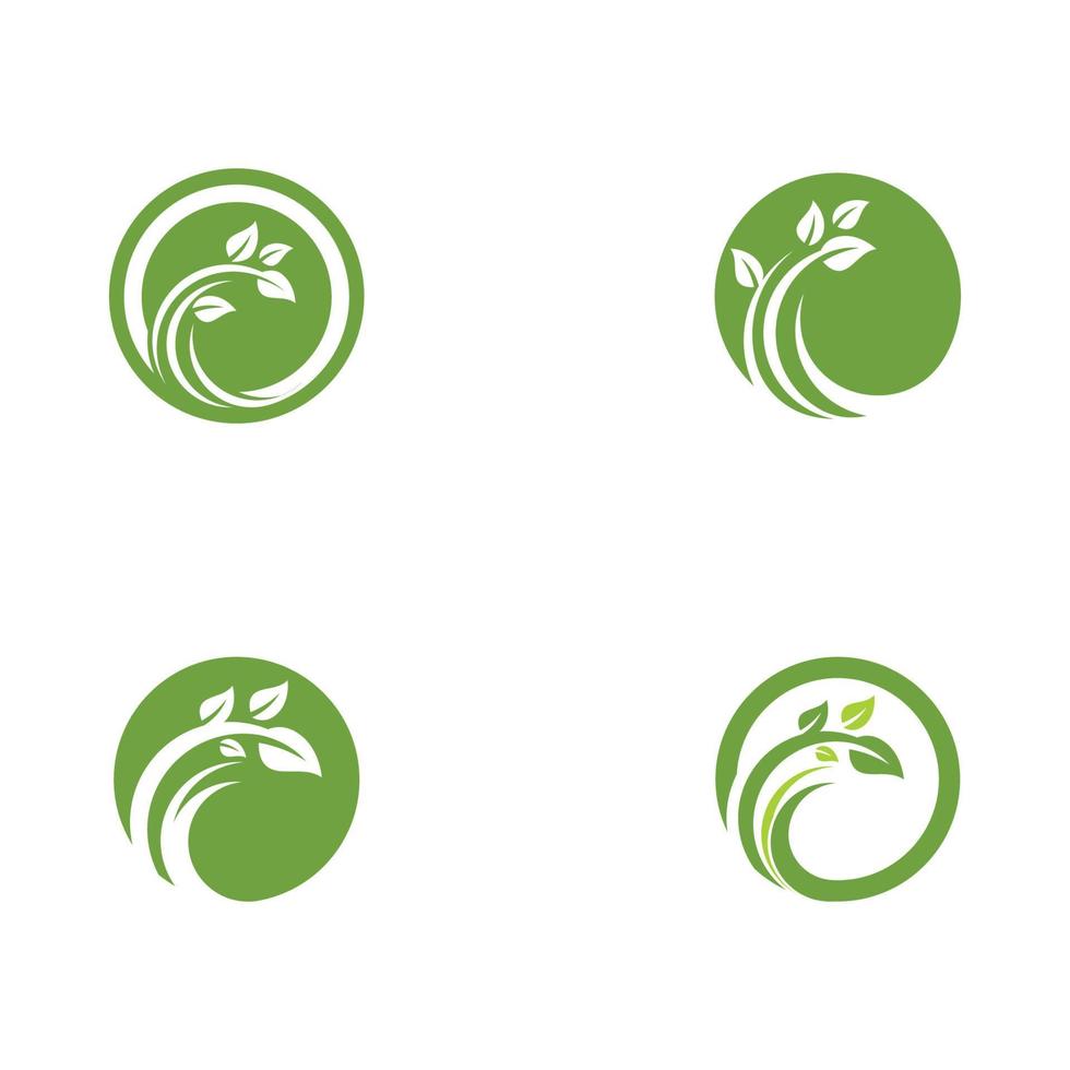 Logos of green Tree leaf ecology vector