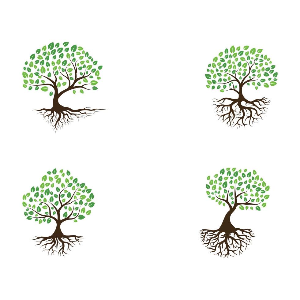 Logos of green Tree leaf ecology vector