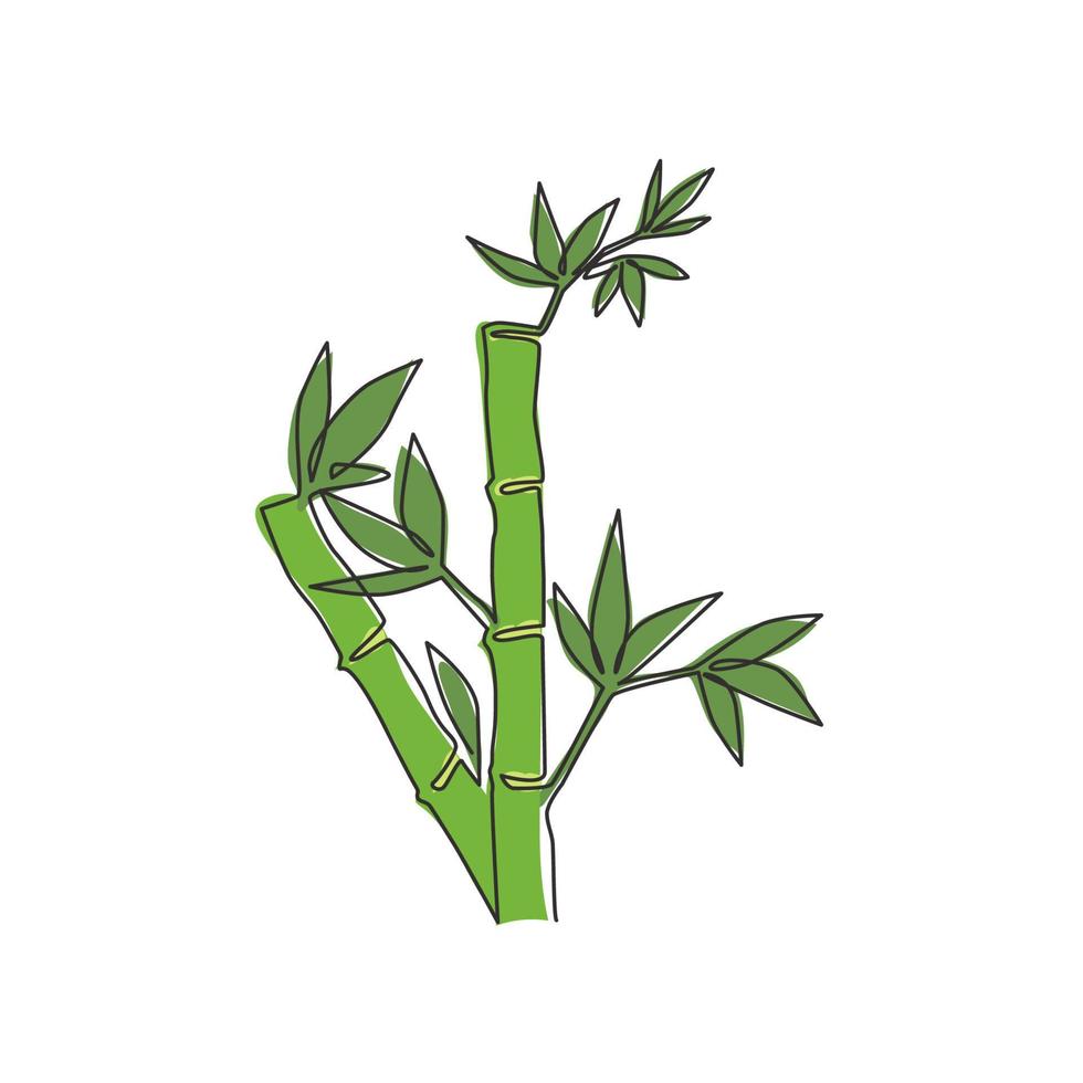 dibujo de una sola línea continua de árboles de bambú para la identidad del logotipo de la plantación. concepto de planta con flores perennes de hoja perenne fresca para el icono de la planta. Ilustración de vector de diseño gráfico de dibujo de una línea moderna