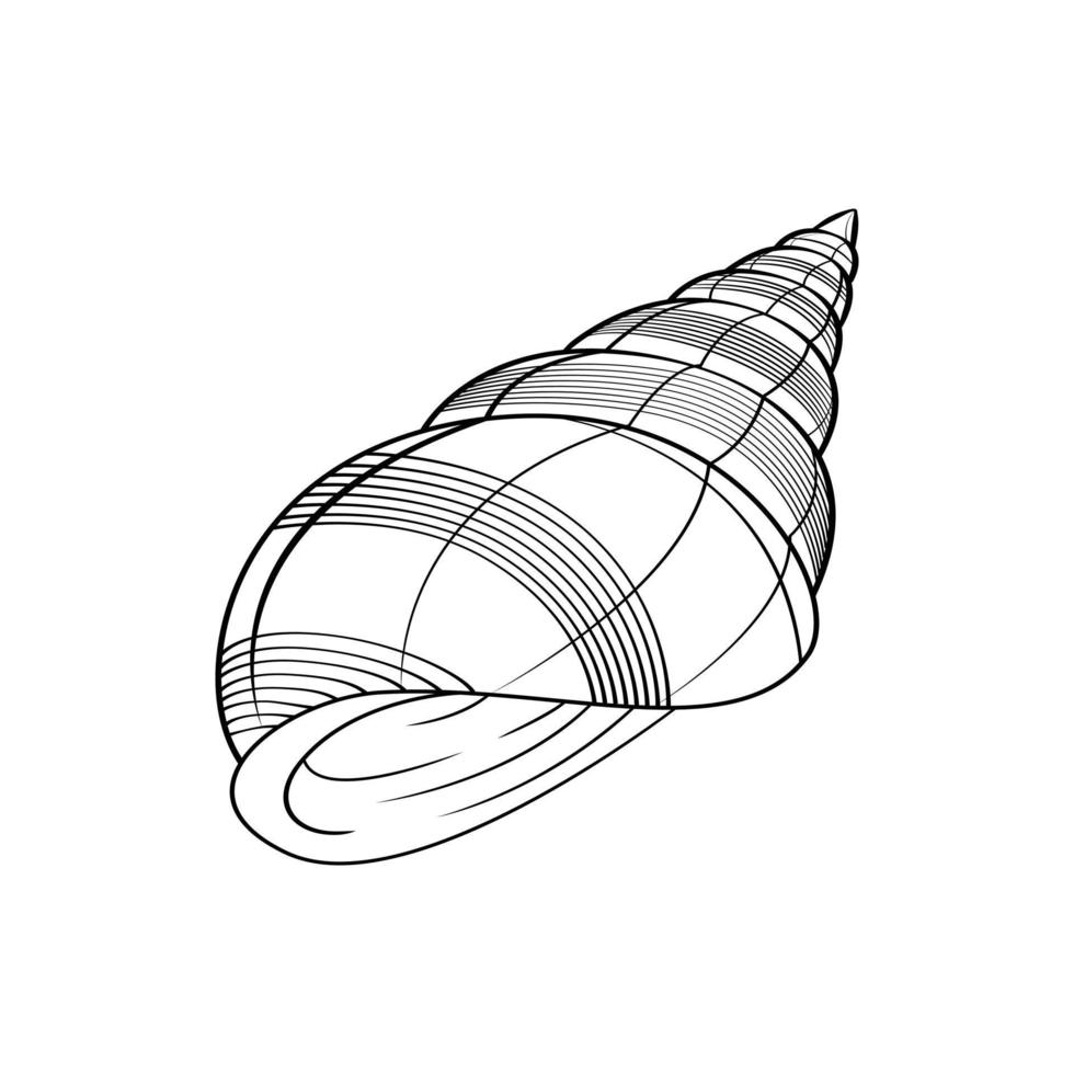 mar cáscara símbolo ilustración diseño vector