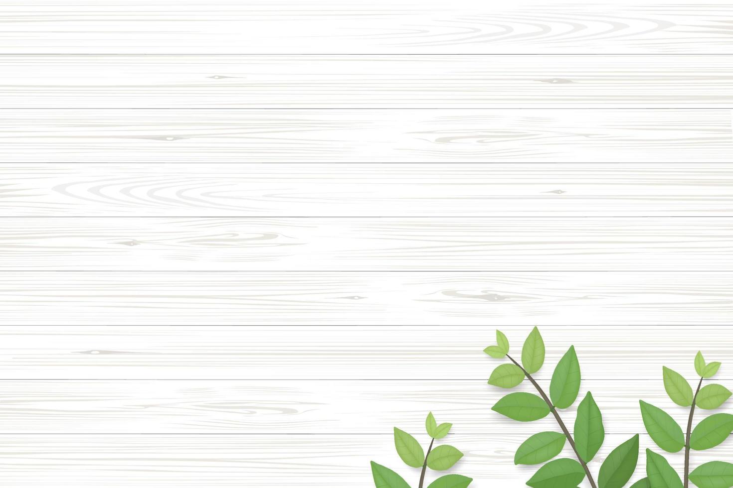 Wood texture background with green leaves.  Vector illustration.