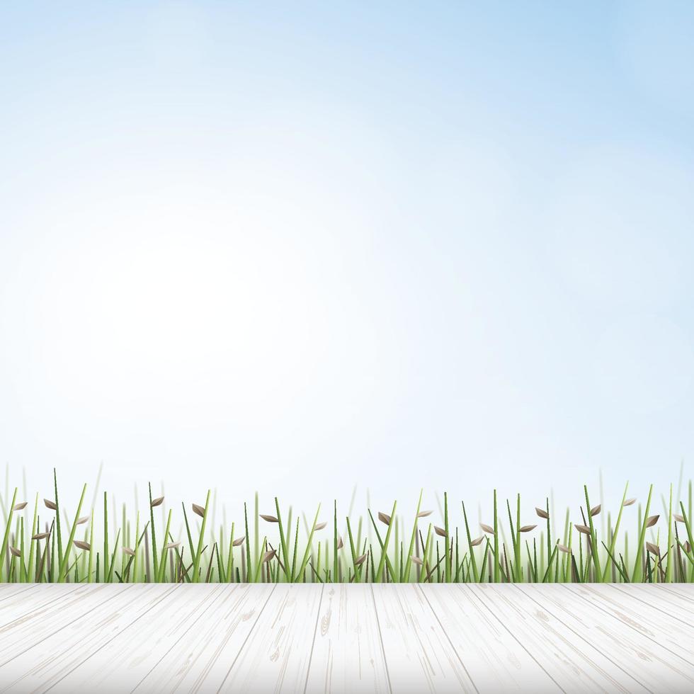 Wooden floor with green field background. Vector. vector