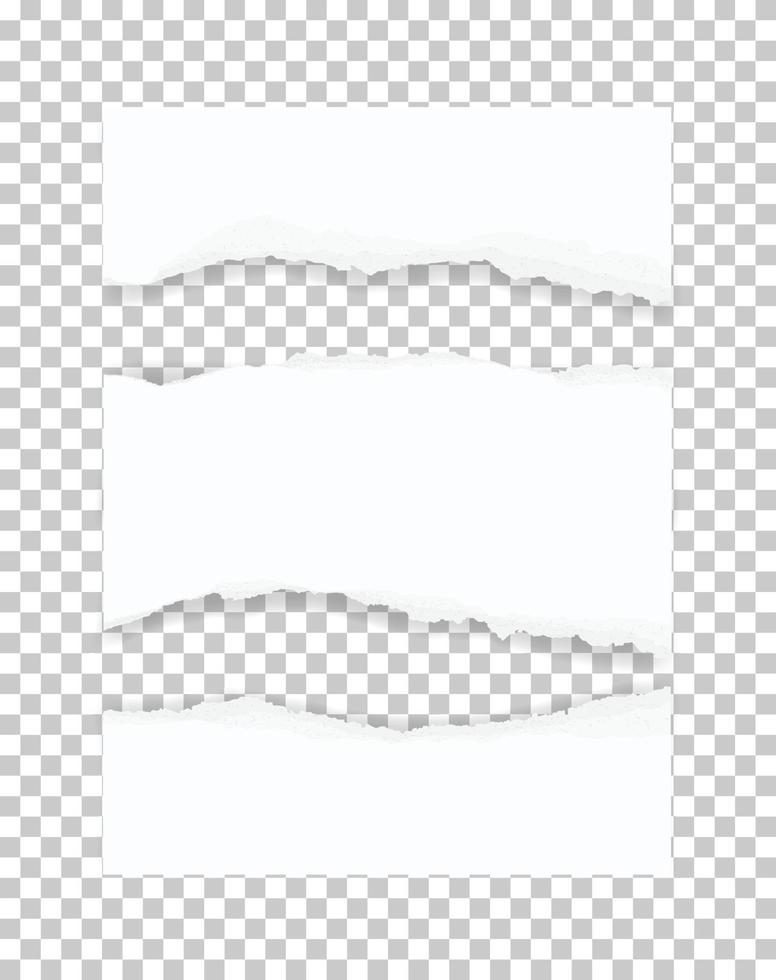 Ripped paper texture. Torn paper edges background. White paper for banner tag background. Vector. vector