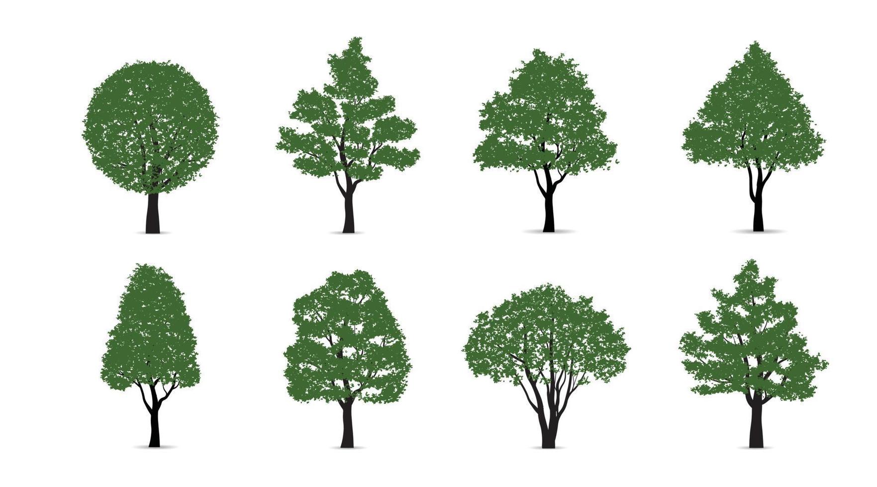 Set of green tree isolated on white background for landscape design and architectural compositions with backgrounds. Vector illustration.