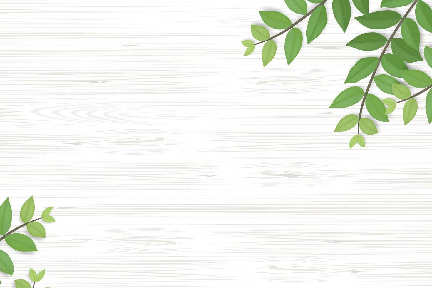 Fondo de textura de madera con hojas verdes. ilustración vectorial. vector