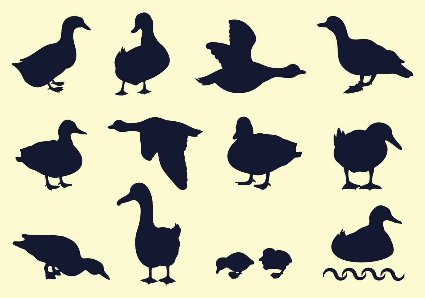 Silhouettes of wild and domestic ducks, Ducks in flight. Vector animals in bundles and sets