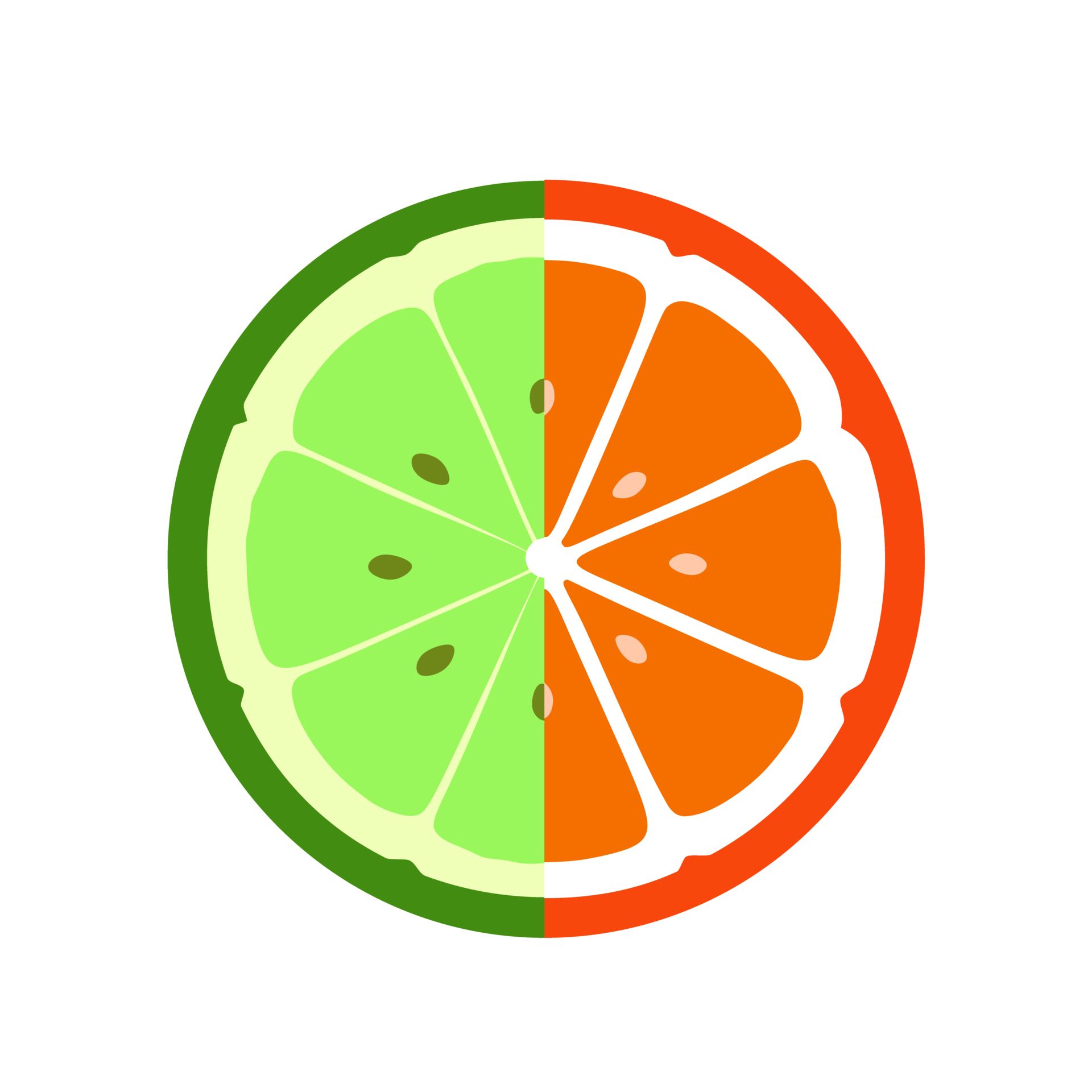 Half of lemon and lime slice 20616717 PNG