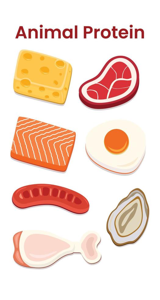 Collection of animal protein beef, salmon fish, chicken, shellfish, cheese, eggs, sausage vector