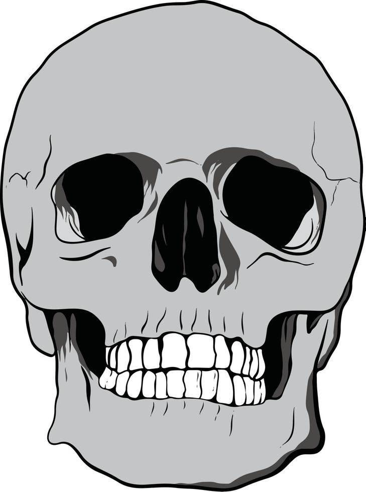 The Grey Skull vector