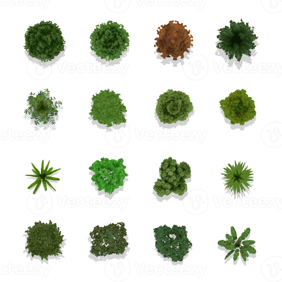 Trees top view for landscape design png