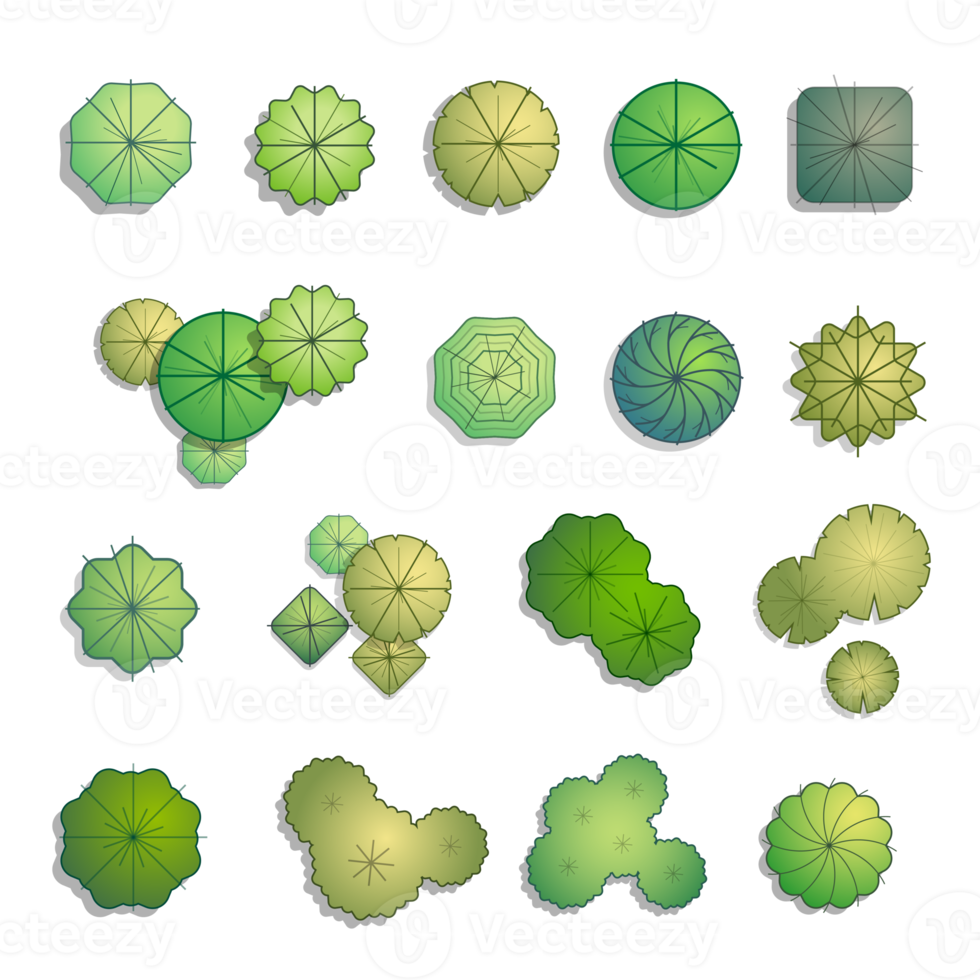 Trees top view for landscape design png