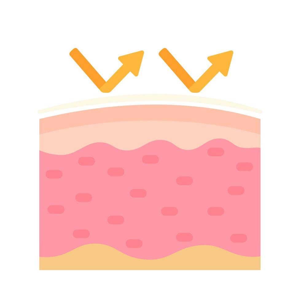 human skin layer Caring for protecting the skin from the sun with a skin serum. vector
