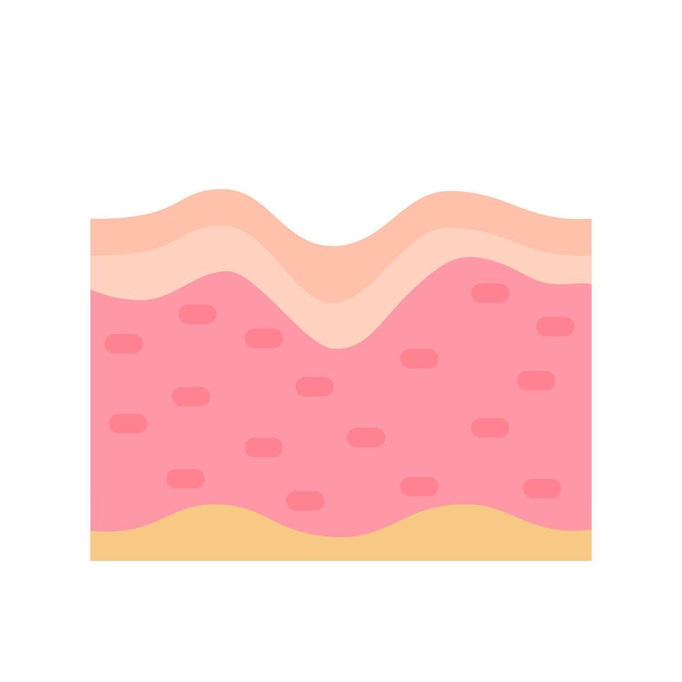 human skin layer Caring for protecting the skin from the sun with a skin serum. vector