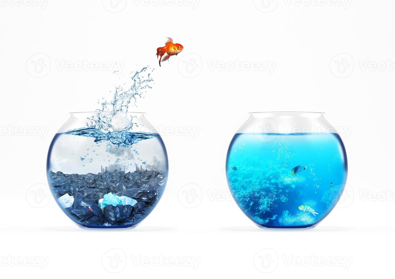 Improvement and moving concept with a goldfish jumping from a dirty aquarium to a clean one photo