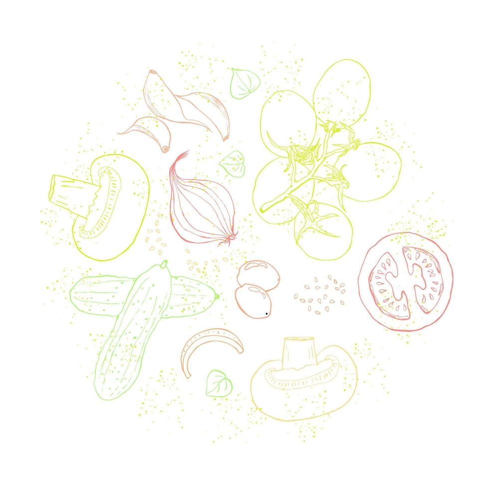 Vegetables sketch art illustration circle composition vector