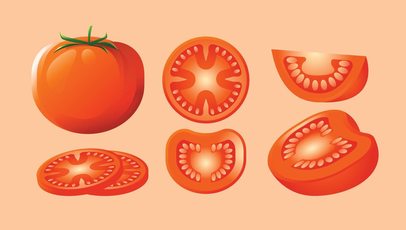 tomate conjunto elemento diseño vector