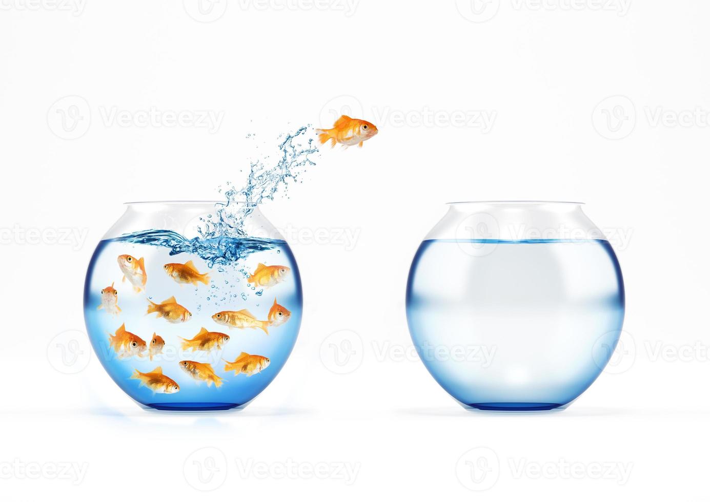 Red fish jumps from a full of fishes cruet to an empty one. concept of escape from crowd photo