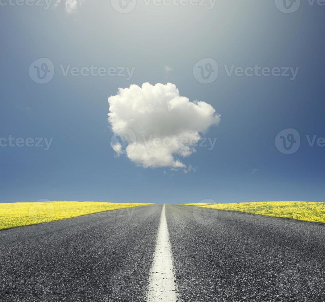 Street in a yellow landscape with a cloud photo