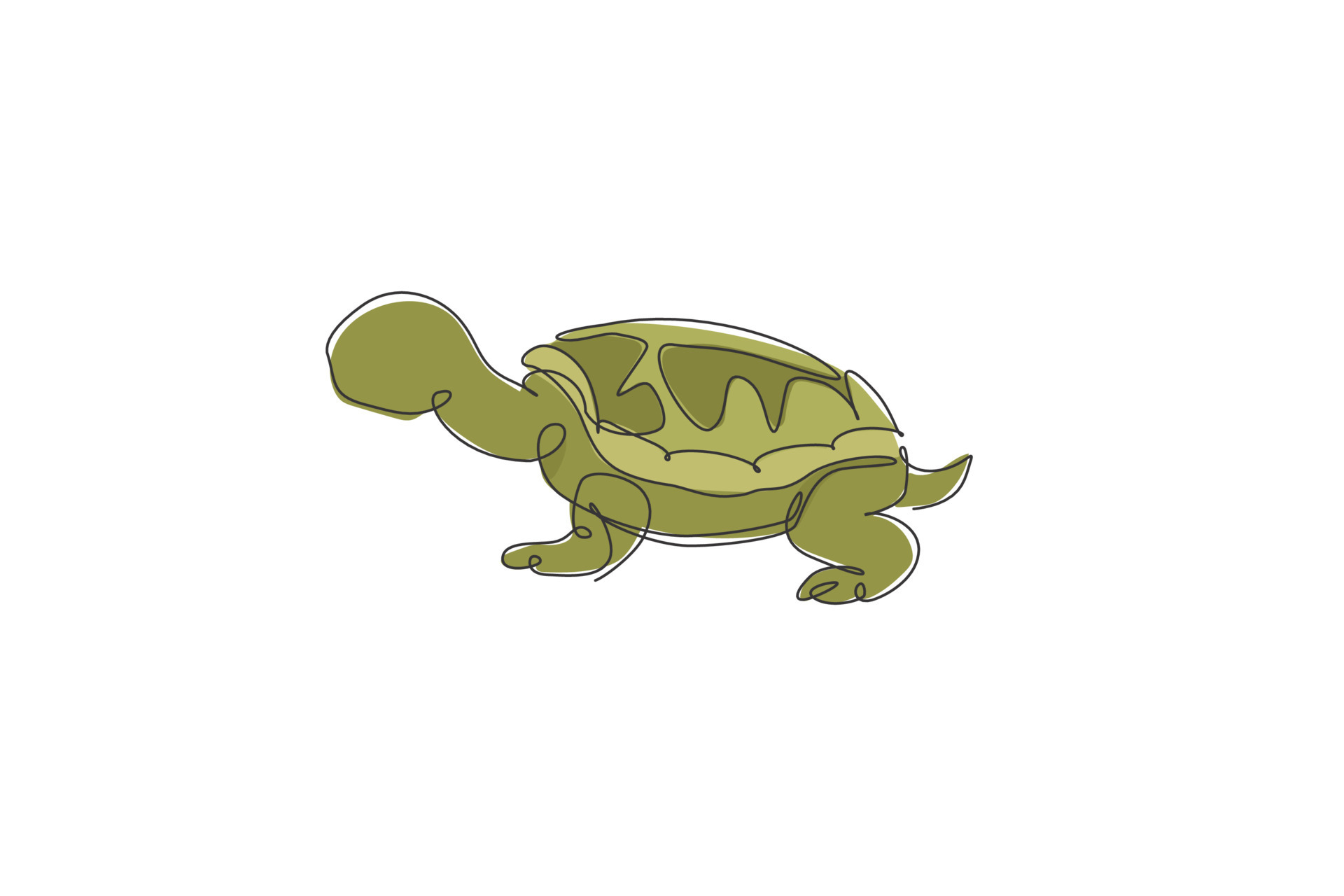 One single line drawing of big cute tortoise in Galapagos island ...