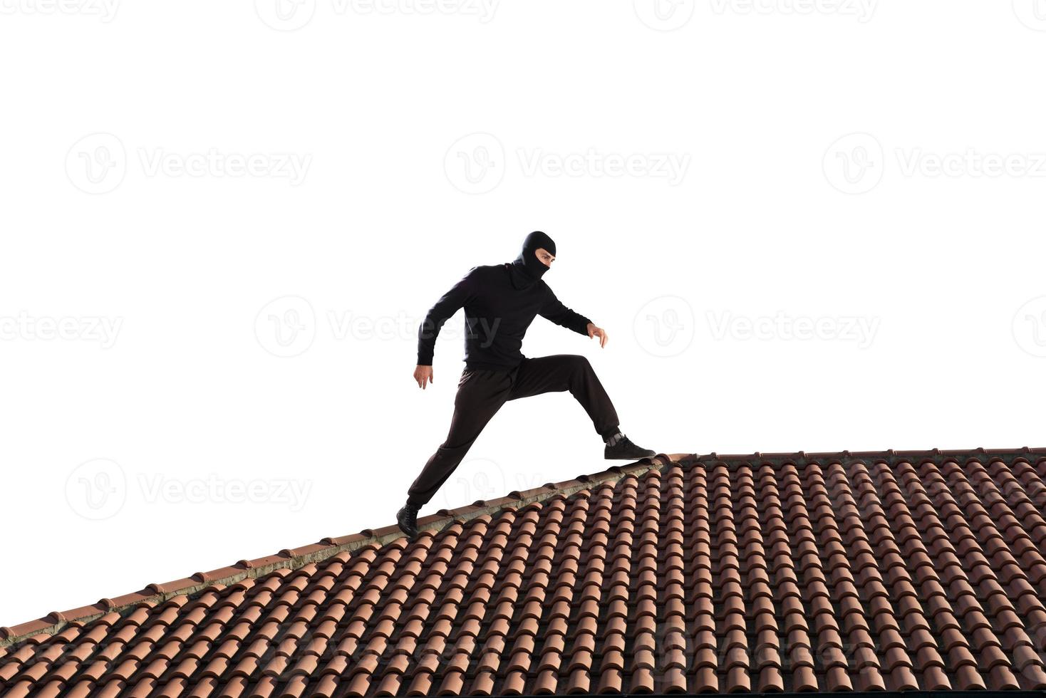 Thief on the roof photo