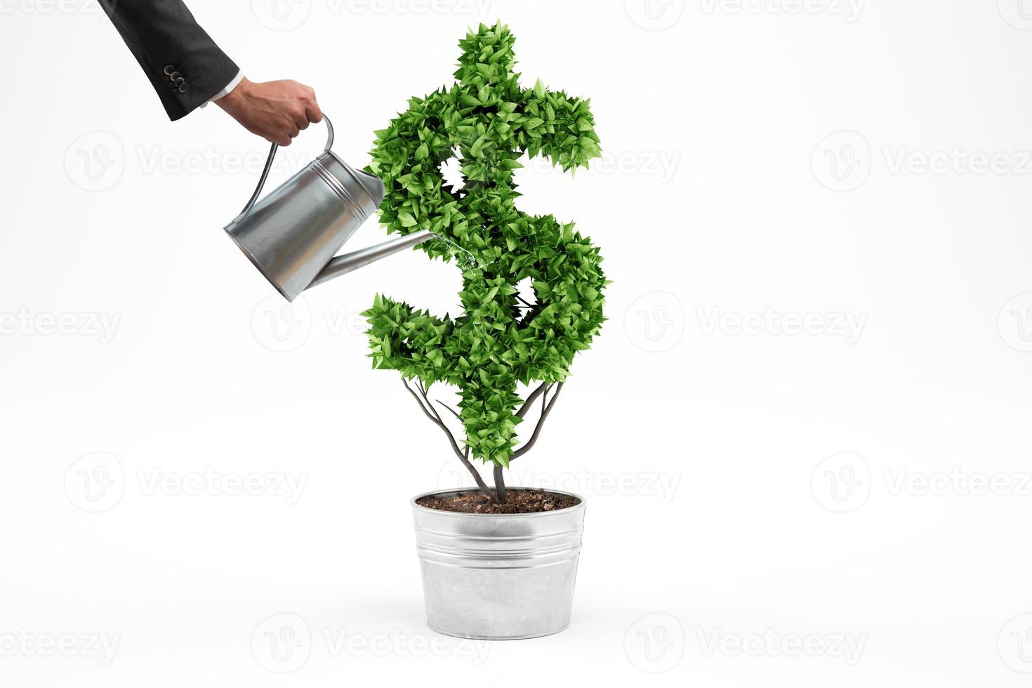Potted plant with dollar shape. 3D Rendering photo