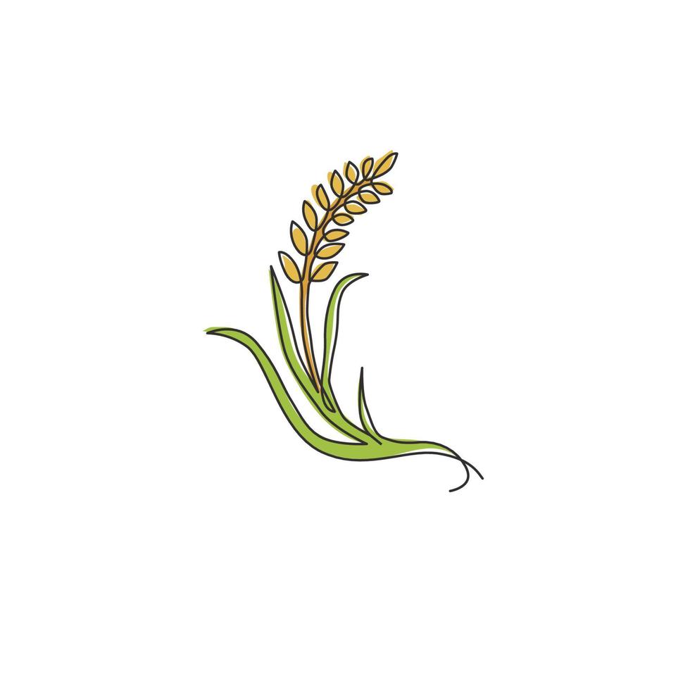 un dibujo de una sola línea de grano de trigo orgánico entero y saludable para la identidad del logotipo de la granja. concepto de alimentos básicos frescos para el icono de cereales para el desayuno. Ilustración de vector de diseño de dibujo gráfico de línea continua moderna