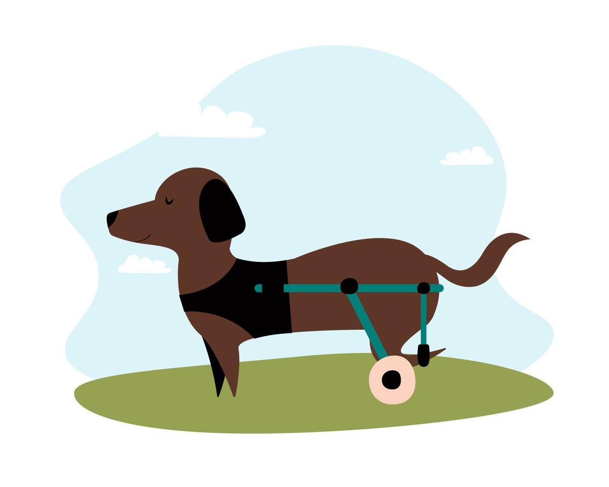 Vector dog in a wheelchair for the hind paws. illustration in a flat style