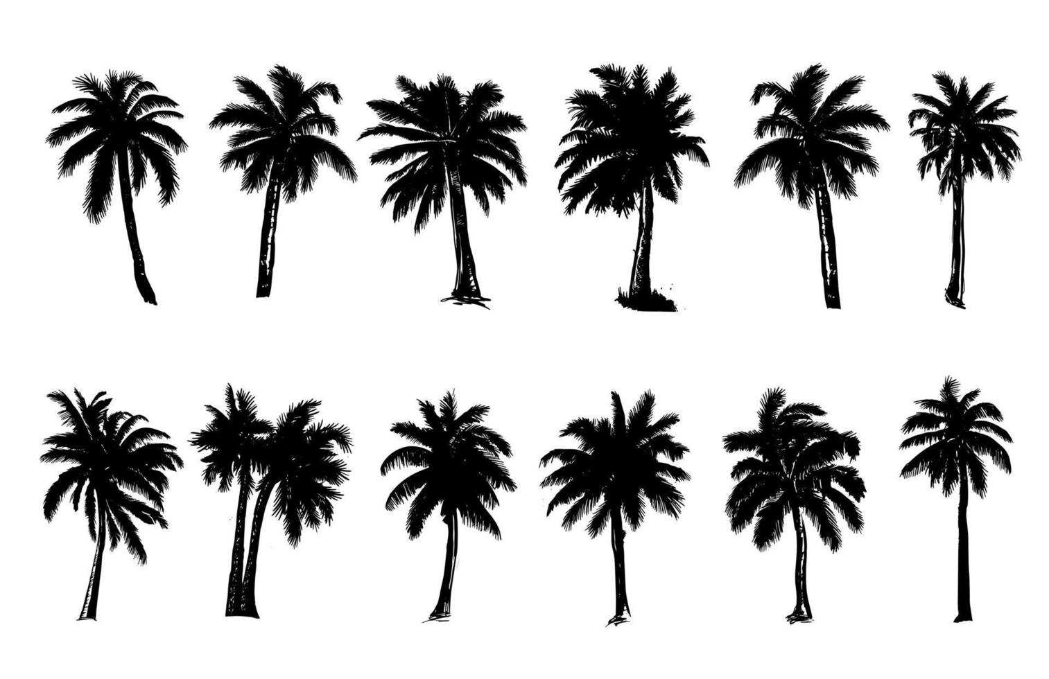 palmera, Hola verano, mano dibujado ilustraciones, vector. vector