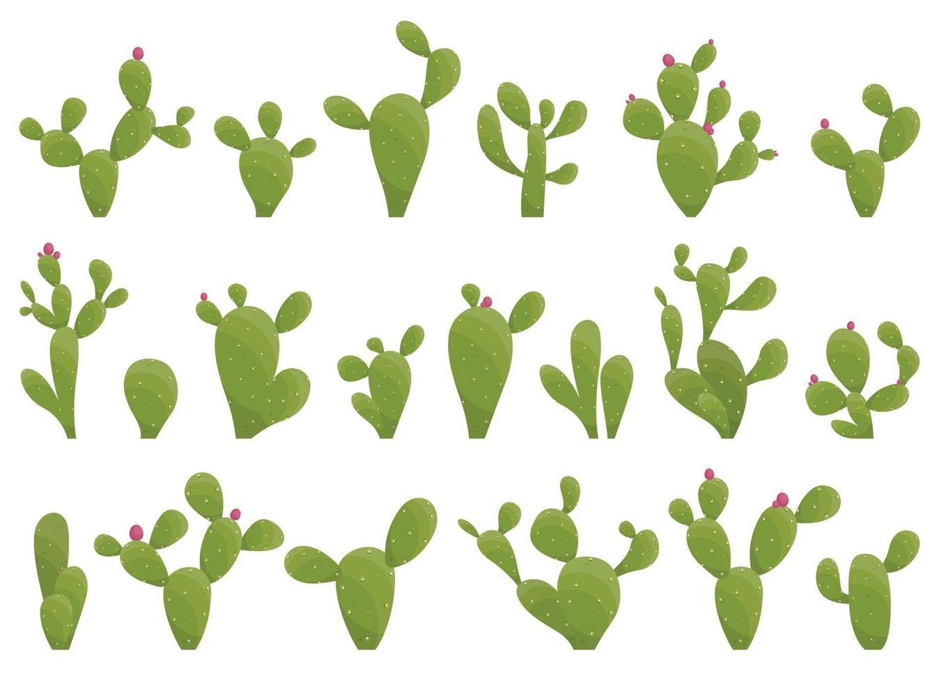 Cartoon desert cactus plants isolated on white. Desert plants vector illustration
