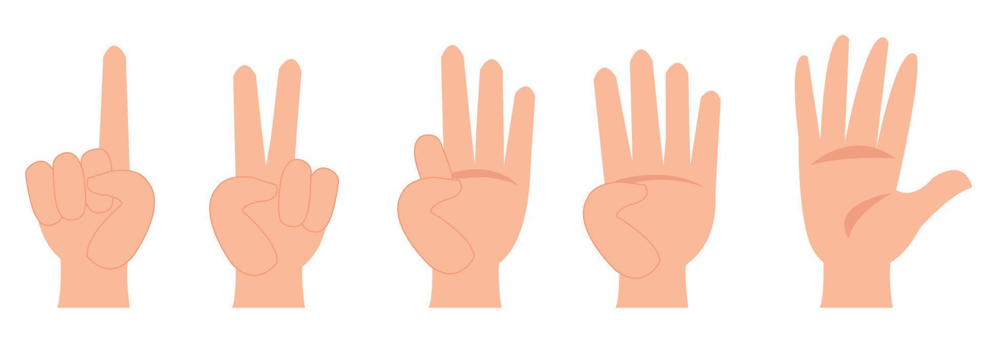 Cute little boy is studying math by counting his finger vector
