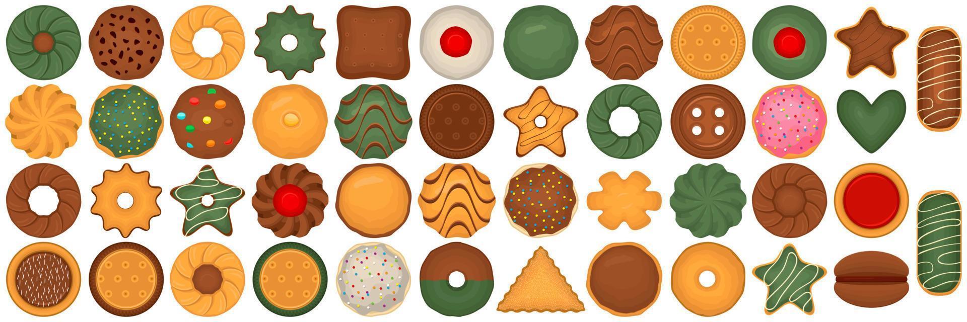 Big set homemade cookie different taste in pastry biscuit vector