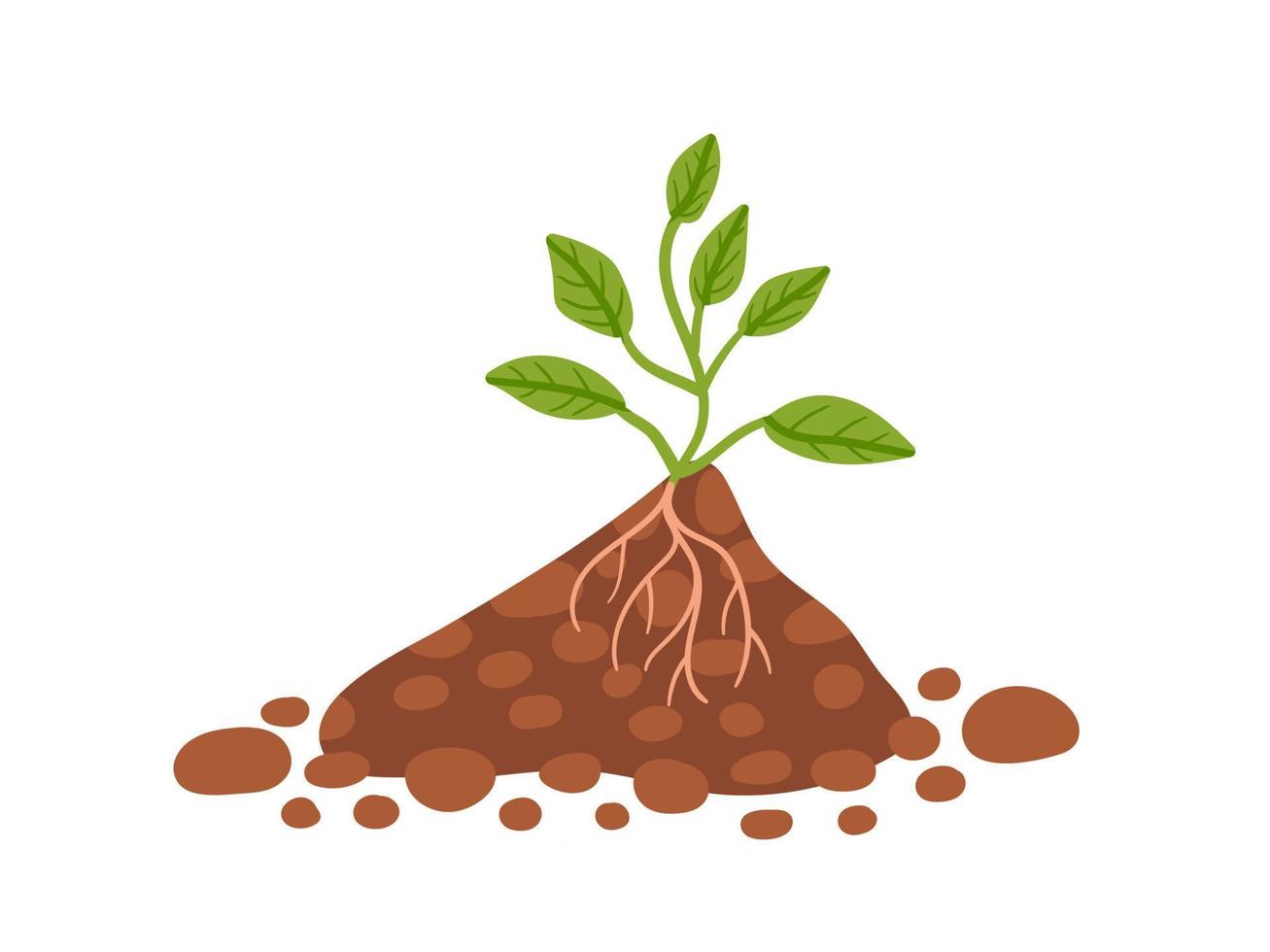 Plant in black ground. Green leafy plant grow up. Spring decor, icon, sticker. Vector stock illustration.