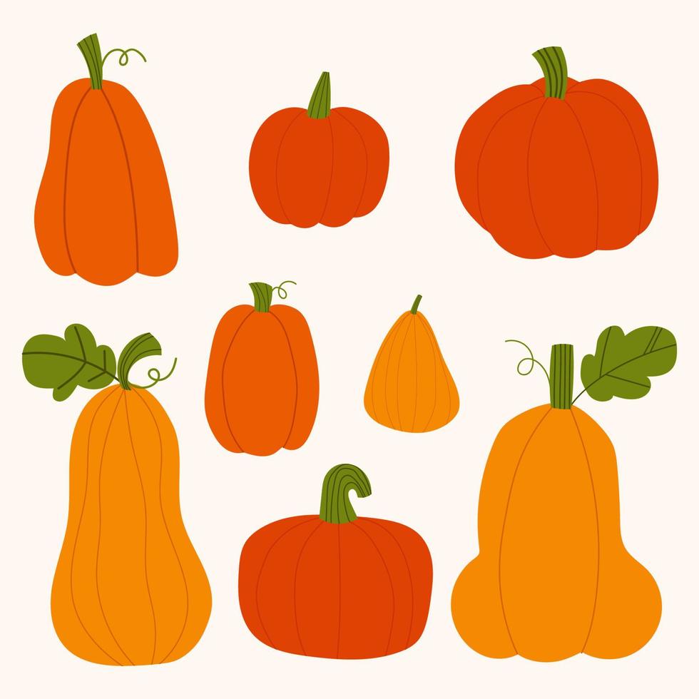 Hand drawn vector pumpkins collection. Isolated cartoon vegetables on beige