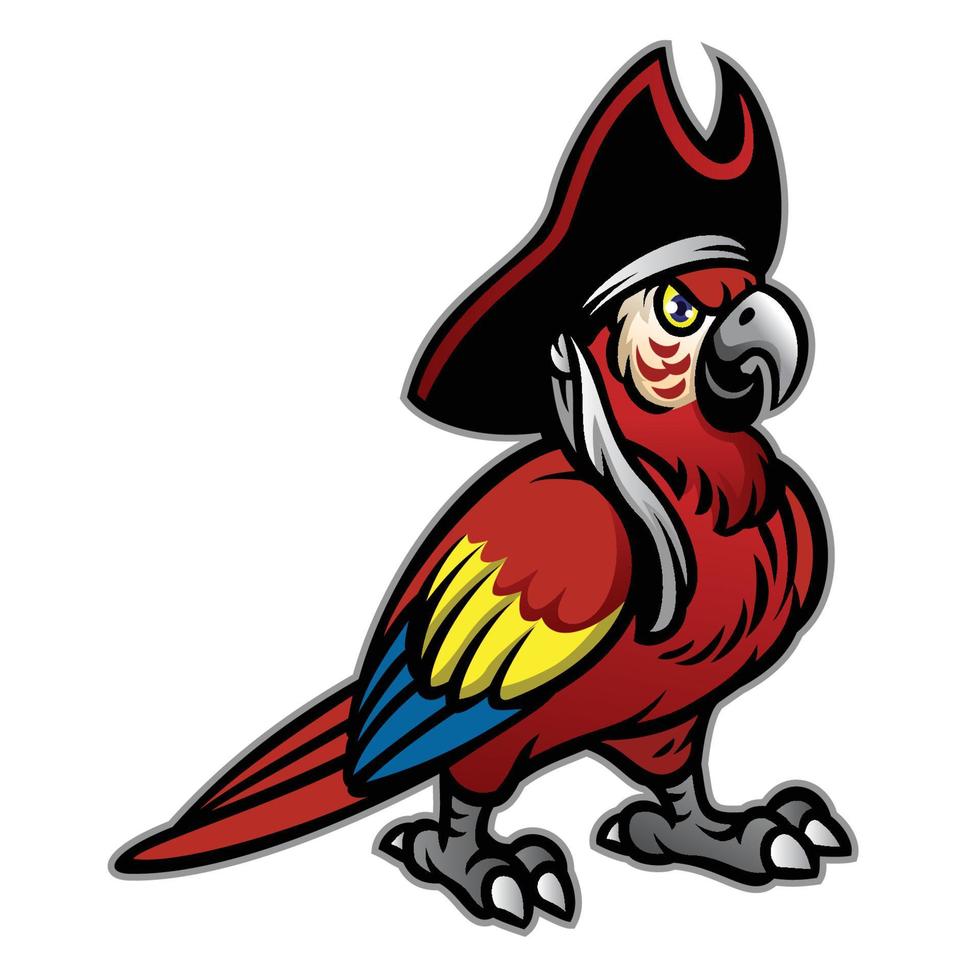 red macaw pirate bird vector