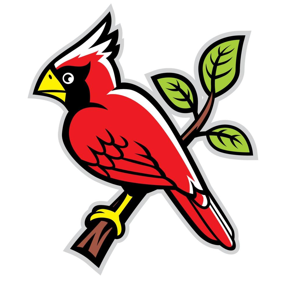 cardinal bird on a tree branch vector