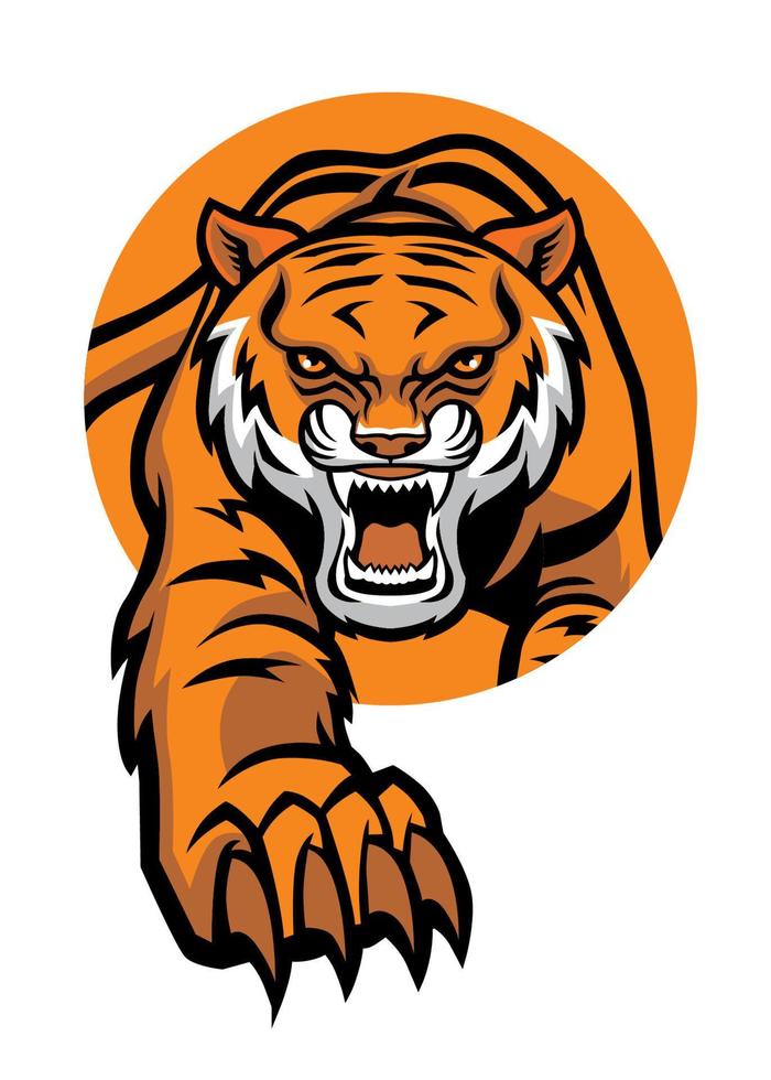 tiger mascot come out from circle vector