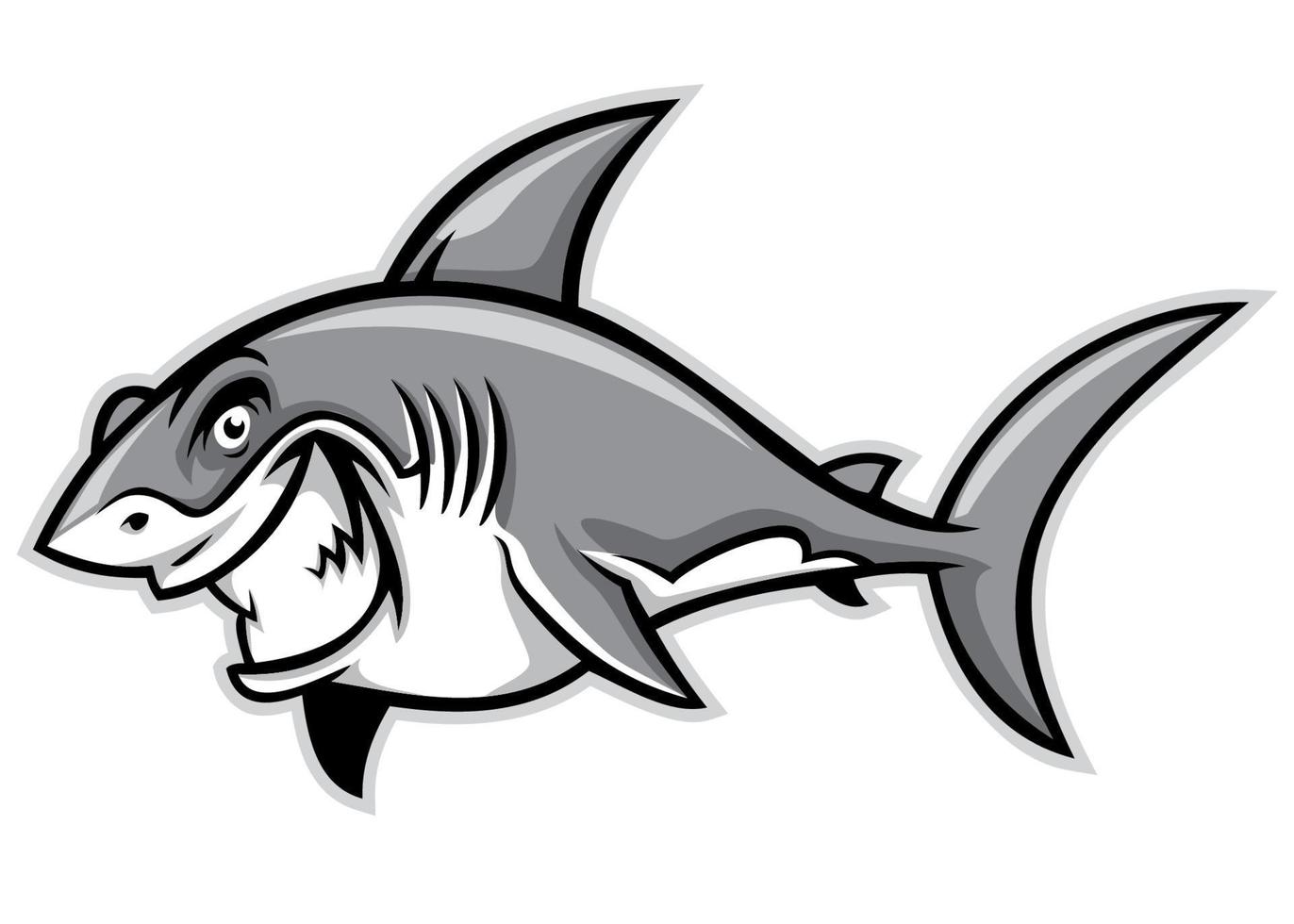 Great white shark smiling vector