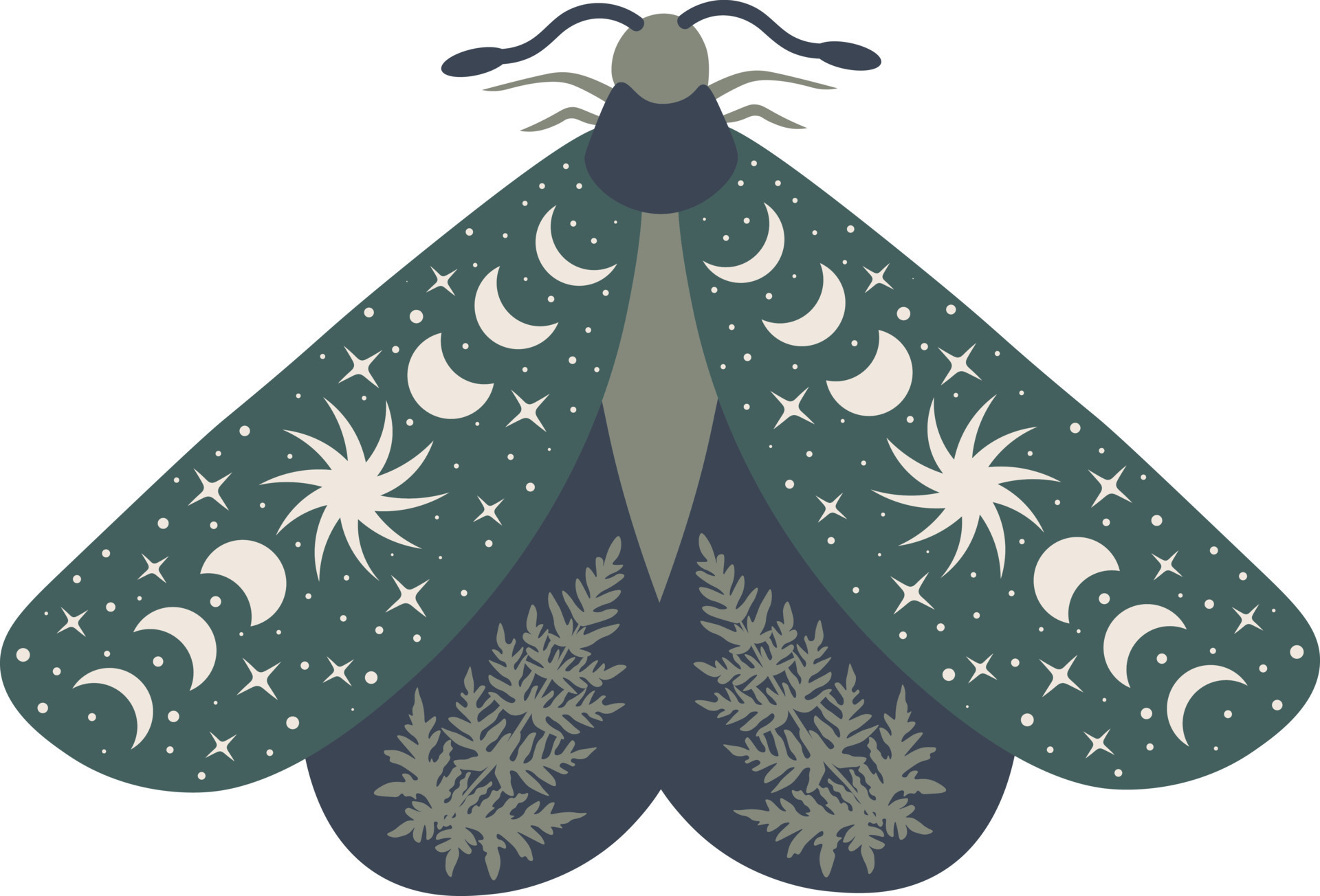https://static.vecteezy.com/system/resources/previews/020/634/580/original/celestial-butterfly-illustration-mystical-luna-moth-with-moon-phases-magic-floral-insect-on-white-background-design-for-boho-poster-card-madical-t-shirt-print-tag-sticker-vector.jpg