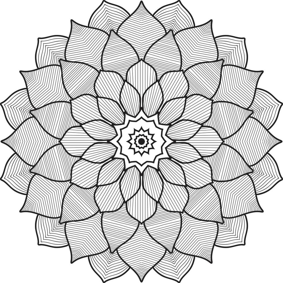 lujo indio mandala Arte diseño vector