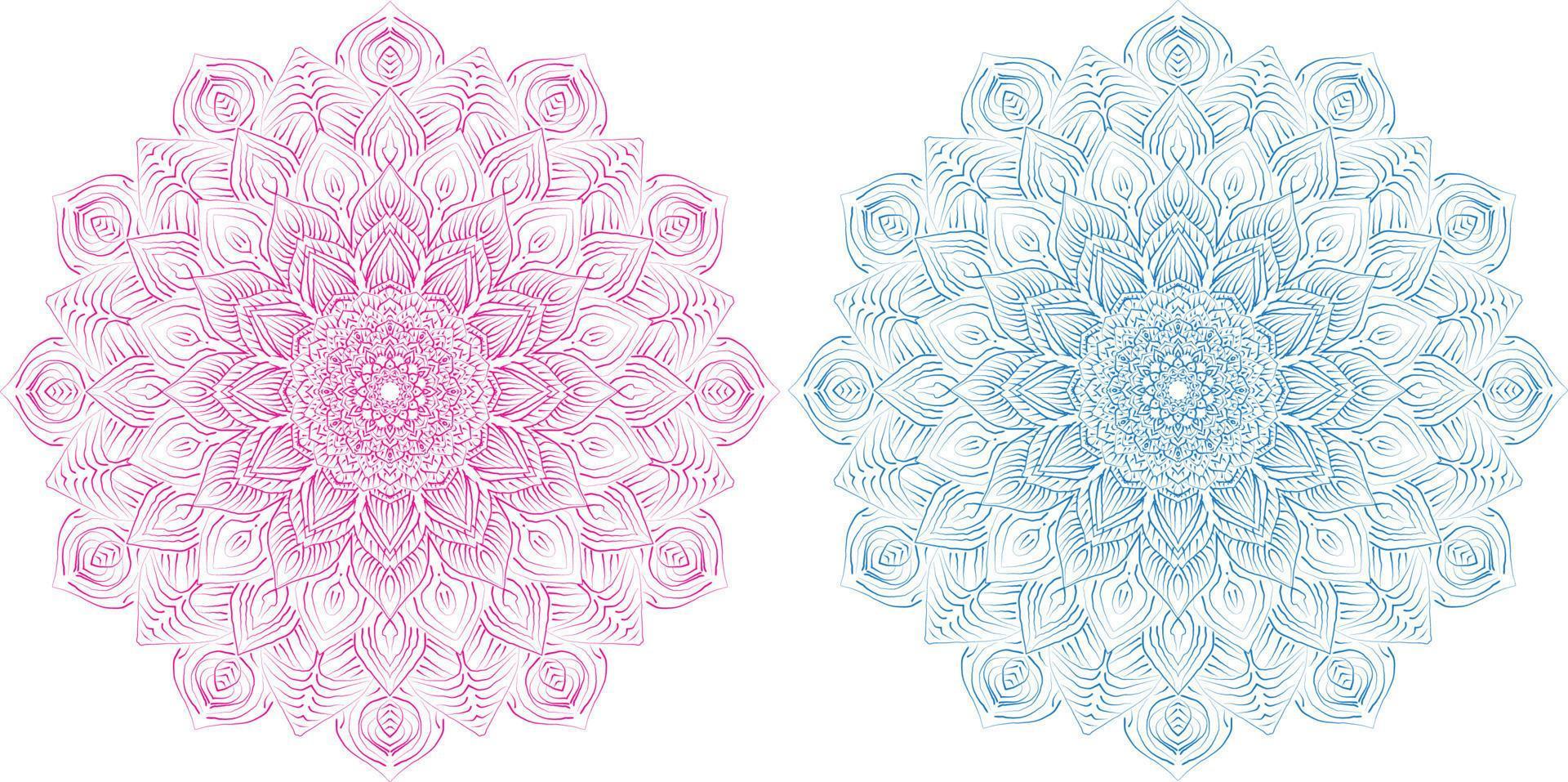 luxury Indian mandala art design vector