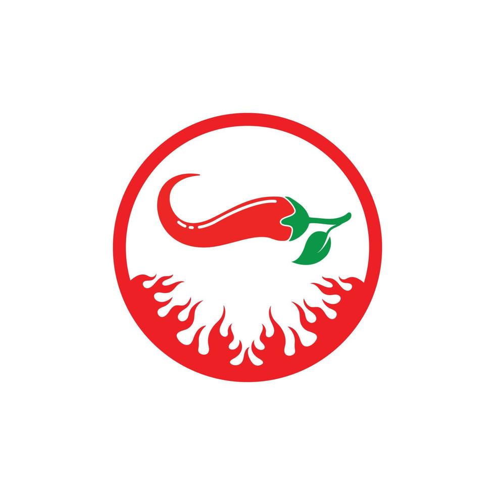 Chili logo icon vector illustration design